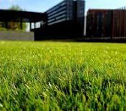 ATTENTION LAWN CARE PROS – MAKE UP TO $4000